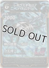 レギウスオオツノハナムグリ