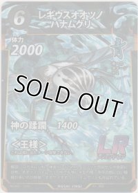 レギウスオオツノハナムグリ