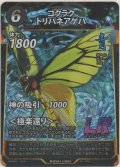 ゴクラクトリバネアゲハ