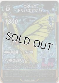 ゴクラクトリバネアゲハ