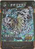 オオゴマダラ