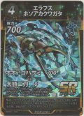 エラフスホソアカクワガタ