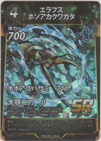 エラフスホソアカクワガタ
