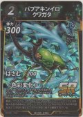 パプアキンイロクワガタ