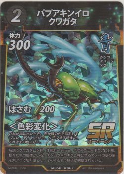 画像1: パプアキンイロクワガタ