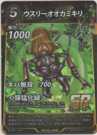 ウスリーオオカミキリ