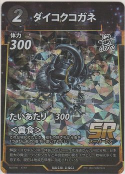 画像1: ダイコクコガネ