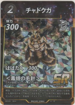 画像1: チャドクガ