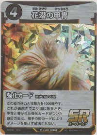 花潜りの甲冑