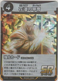 画像1: 花潜りの甲冑