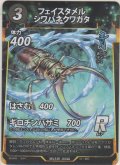 フェイスタメルシワバネクワガタ