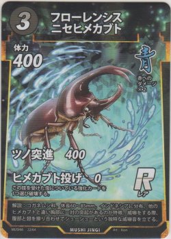 画像1: フローレシスニセヒメカブト