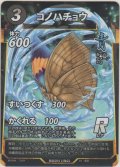コノハチョウ