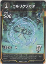 コルリクワガタ