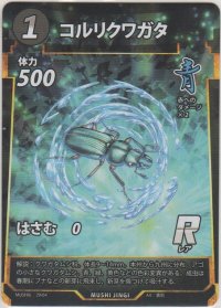 コルリクワガタ
