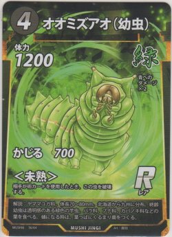 画像1: オオミズアオ（幼虫）