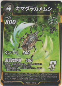 キマダラカメムシ