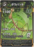 ボウバッタ