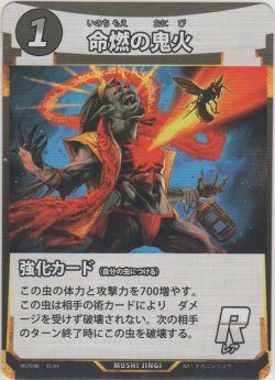 画像1: 命燃えの鬼火