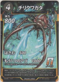 チリクワガタ