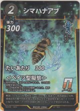 シマハナアブ