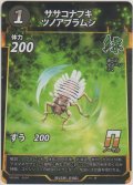 ササコナフキツノアブラムシ