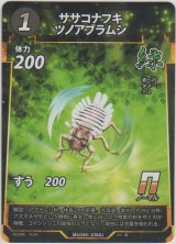 ササコナフキツノアブラムシ