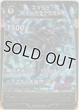 スマトラオオヒラクワガタ