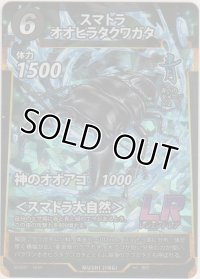 スマトラオオヒラクワガタ