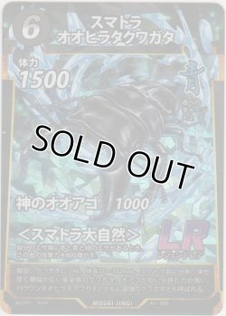 画像1: スマトラオオヒラクワガタ