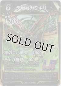 テナガカミキリ