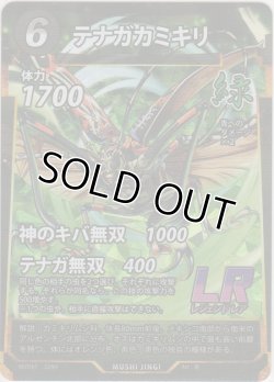 画像1: テナガカミキリ