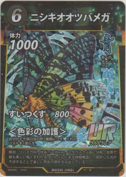 画像1: ニシキオオツバメガ