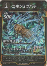 ニホンミツバチ