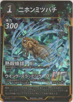 画像1: ニホンミツバチ