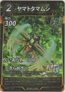 画像1: ヤマトタマムシ