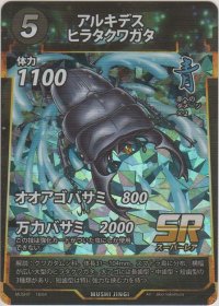 アルキデスヒラタクワガタ