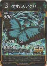 オオルリアゲハ