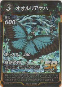 オオルリアゲハ