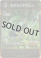 オオルリタマムシ