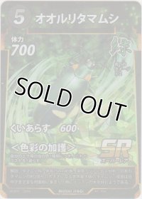 オオルリタマムシ