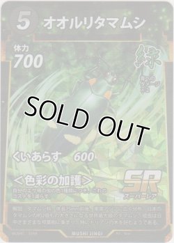 画像1: オオルリタマムシ