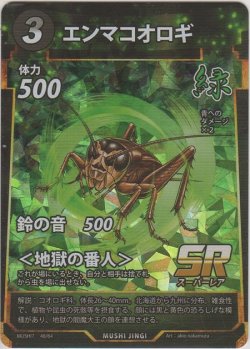 画像1: エンマコオロギ