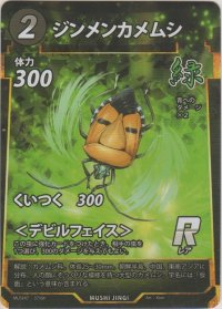 ジンメンカメムシ