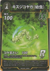 キスジコヤガ（幼虫）