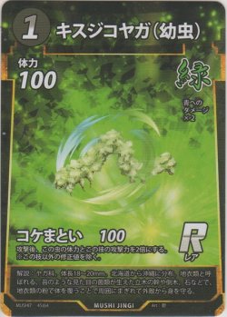 画像1: キスジコヤガ（幼虫）