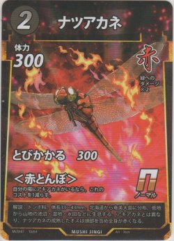 画像1: ナツアカネ