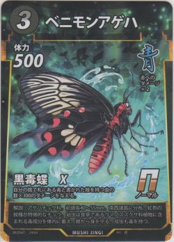 画像1: ベニモンアゲハ