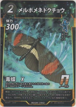 画像1: メルポメネドクチョウ