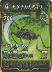 ヒゲナガカミキリ